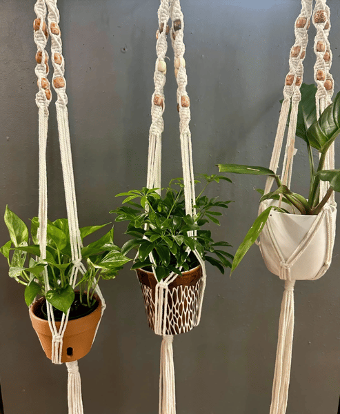 Picture for: Introduction to Macrame