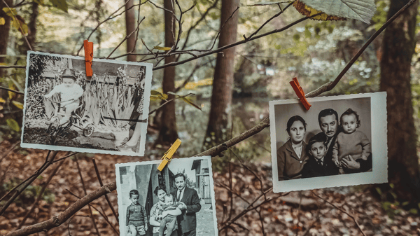 Picture for Branching Out: Unlock Your Family Tree in a Live Genealogy Q & A - Online