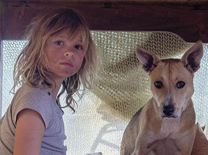 Picture for "Don't Let's Go to the Dogs Tonight" - Rhodesian