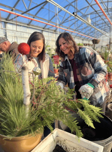 Picture for Craft Your Own Holiday Planter