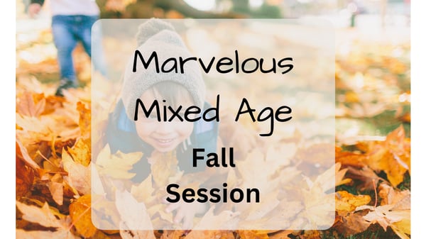 Picture for Marvelous Mixed Age ECFE