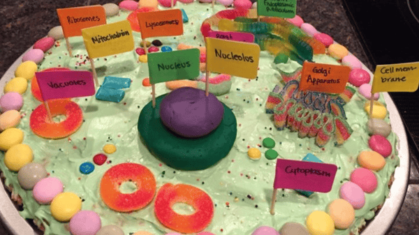 Picture for: STEM- Edible 3D Cell Models - A journey into the Microbakery (Gr. K-6)