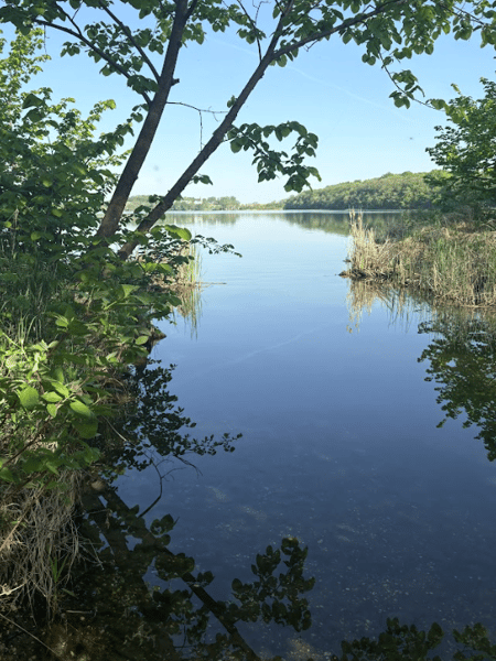 Picture for Chippewa Park Guided Nature Walk