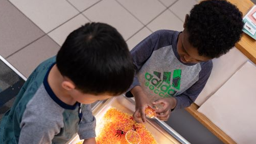 Picture for: ECFE Preschool 3-4 years old on 9/1/25