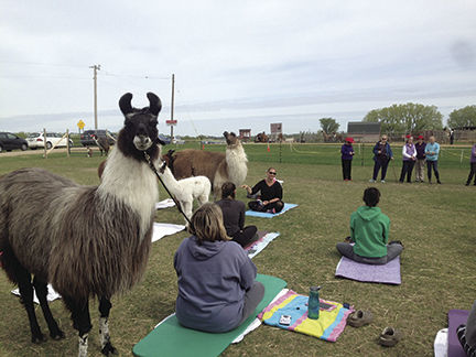 Picture for Out and About