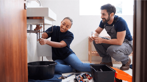 Picture for: Basic Home Plumbing Repair