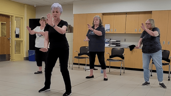 Course Yang Style Tai Chi image 1