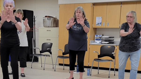 Image for Yang Style Tai Chi