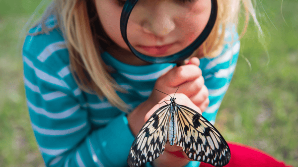 Image for Tiny Tails and Little Paws Animal Camp