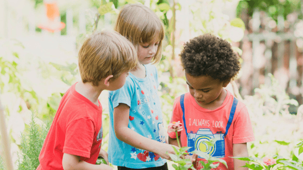 Picture for Week 1: Urban Nature Explorers- Discovering Urban Nature