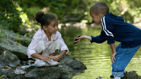 Picture for Week 5: Urban Nature Explorers- Water Keepers (Urban Waterways & Wetlands)