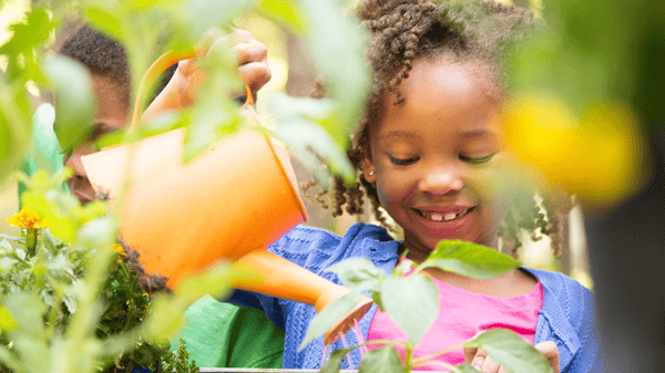 Picture for Week 7: Urban Nature Explorers- Garden Stewards, Growing and Nurishing Our Community (Gr. K-2)