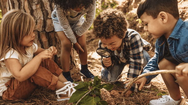 Picture for: Week 8: Urban Nature Explorers- Art of the Earth, Creativity with Natural Materials
