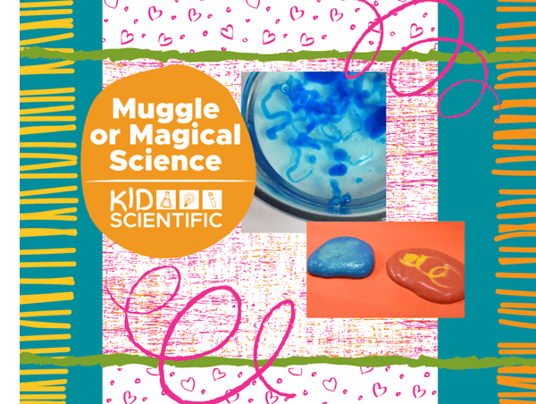 Image for Muggle or Magical Science Ages 5-12