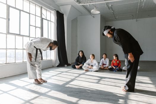 Picture for: Martial Arts (Gr. K-5)