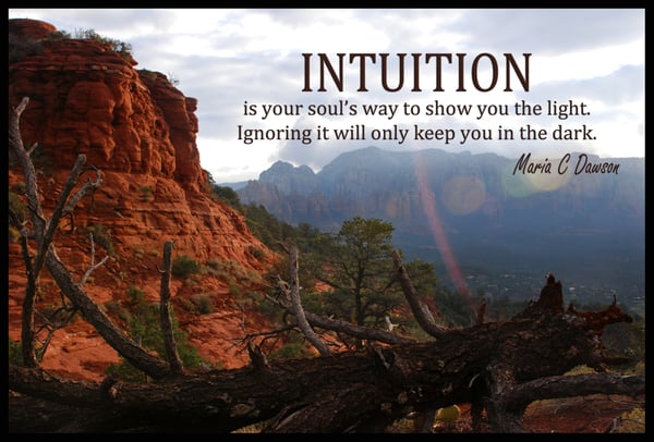 Maria C Dawson: Stupefied "Intuition"