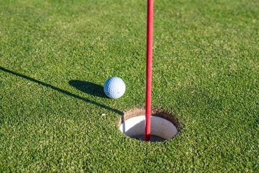 Picture for Golf (Gr. K-5)
