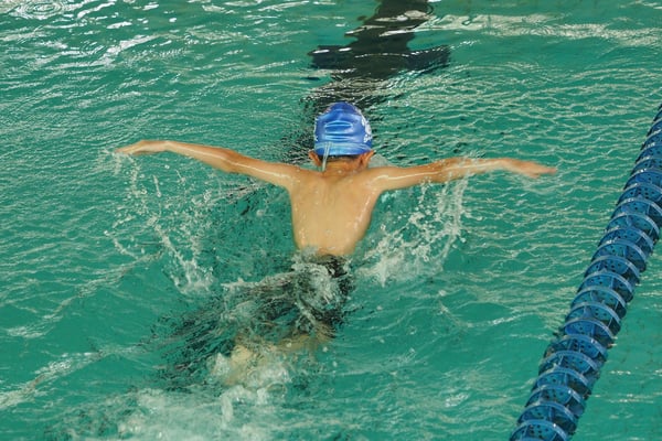 Picture for Level 3:Stroke Development