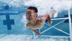 Image for Swim Lessons - Dolphins