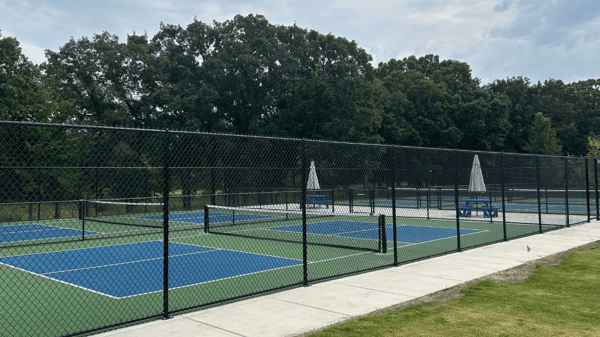 Picture for: Pickleball Fundamentals 101 with Nitty Gritty Pickleball