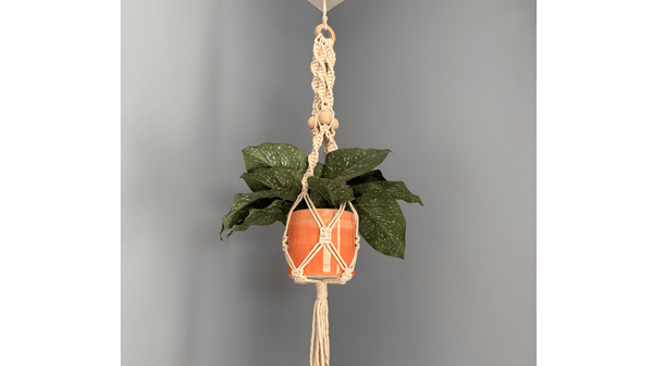 Picture for: Macrame Plant Hanging DIY
