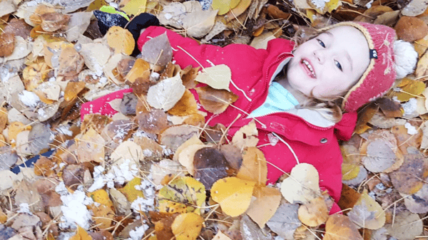 Picture for: Woodland Explorers (Parent/Child)