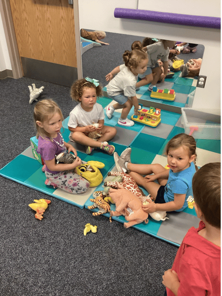 Picture for: Birth-5 Play With Me - Birth up to 5 yr