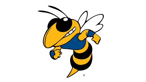 Course Private Swim Lessons image 1