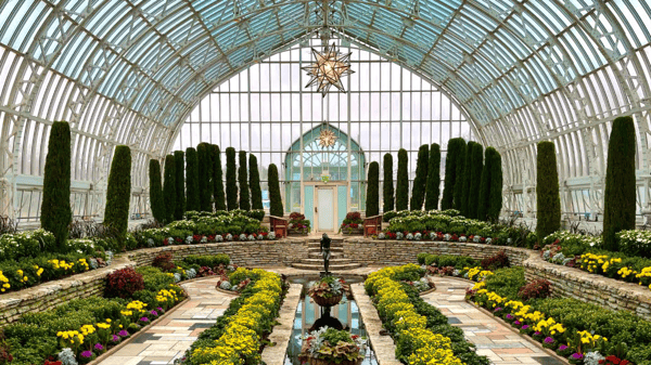 Picture for: Como Conservatory Guided Tour