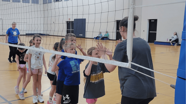 Image for Volleyball Skills