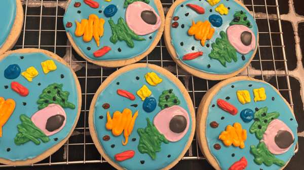 Picture for: Edible 3D Cell Models - A Journey into the Microbakery