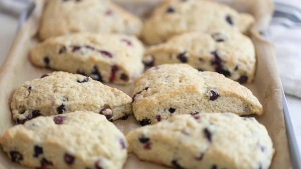 Picture for: Beginners Sourdough Discard Goodies & Recipes