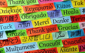 Picture for World Languages