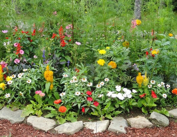 Picture for Home & Garden