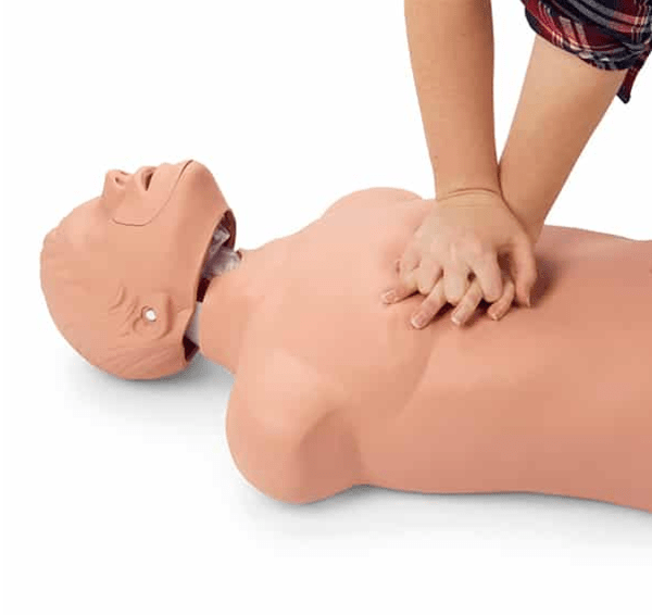 Course Adult and Pediatric CPR/AED and Basic First Aid image 1