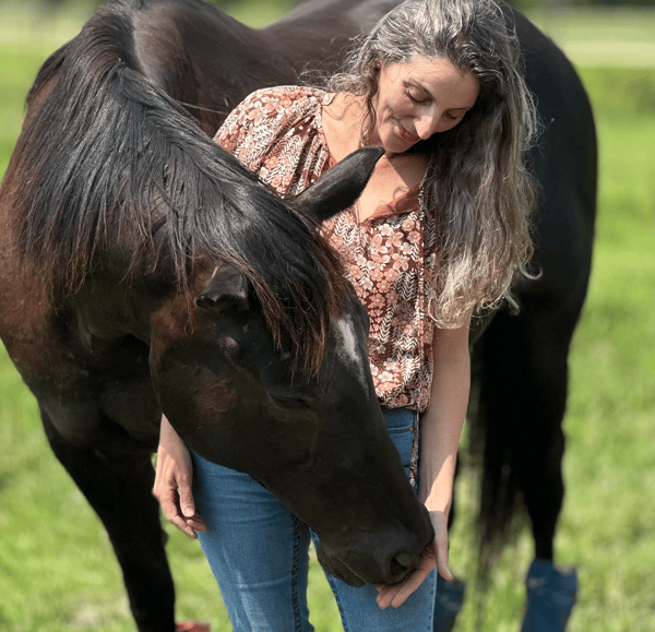 Picture for: Mindful Experience with Horses