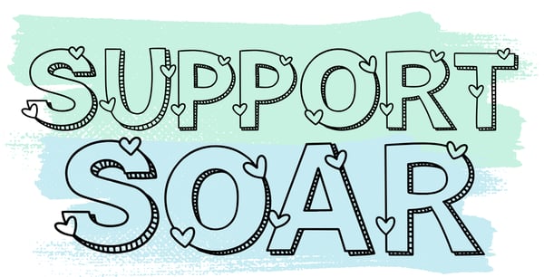 Picture for: Donations towards Project SOAR programming