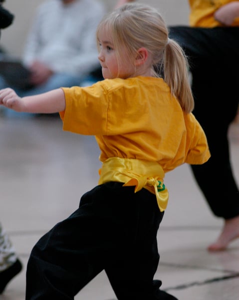 Picture for Kung Fu - Wu Shu