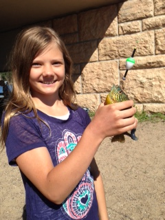 Picture for Advanced Fish Camp