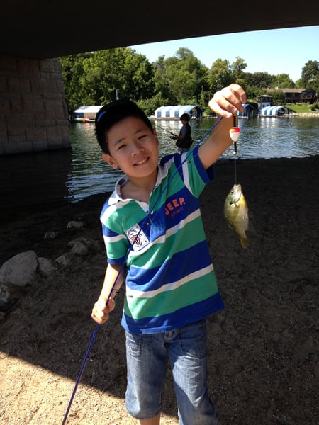 Picture for Fish Camp