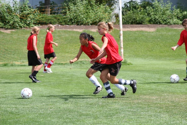 Picture for Mini-Hawk Soccer