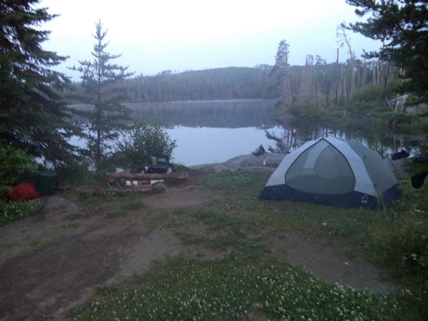 BWCA