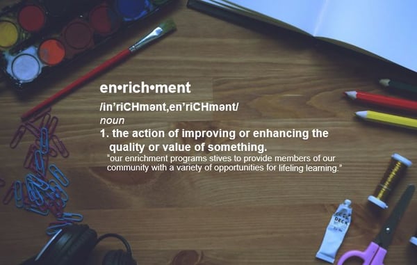 Picture for: Adult Enrichment