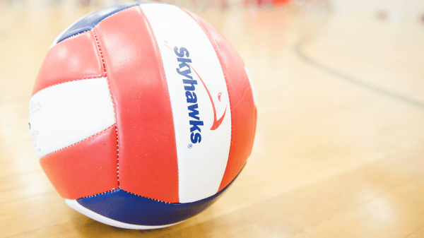 Picture for Volleyball Skills
