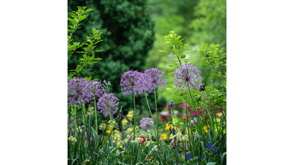 Course Nature Heals (Virtual) image 1