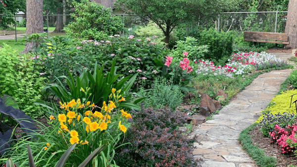 Course The Evolving Garden (Virtual) image 1