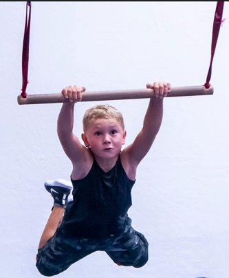 Picture for Intro to Ninja