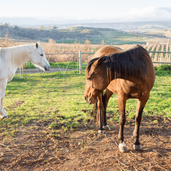 Picture for Outdoor Recreation