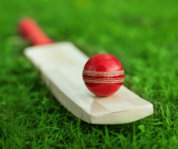 Picture for: Cricket Blitz