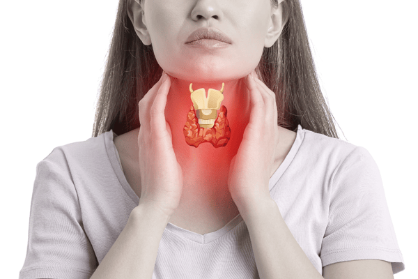 Picture for Thyroid: What You Should Know